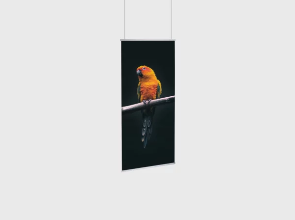 Un kakemono suspendu avec une image de perroquet sur une branche.