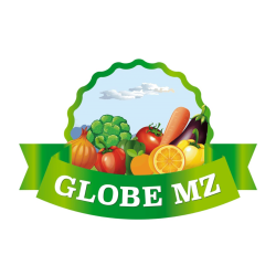 GlobeMZ