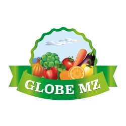 Logo de la société Globe MZ.